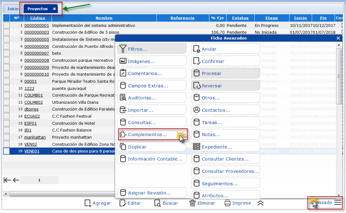 Ficha Avanzados de Proyectos